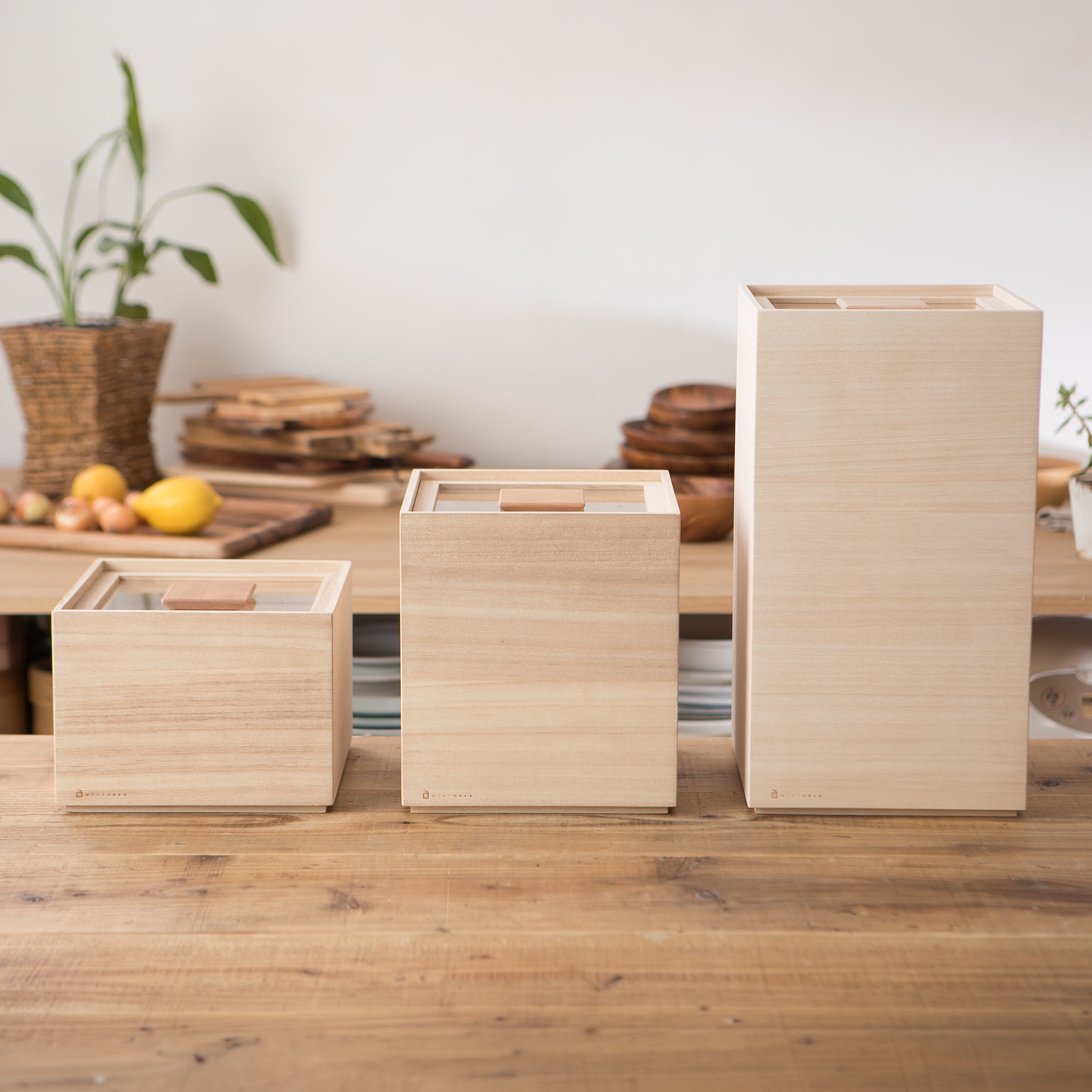 Eco-Friendly Paulownia Wood Rice Bin with Magnetic Measuring Cup