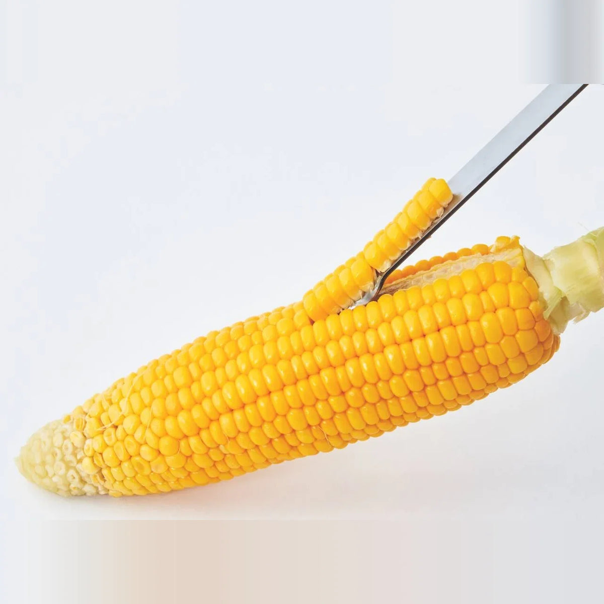 Corn kernels coming off with the Poro peeler