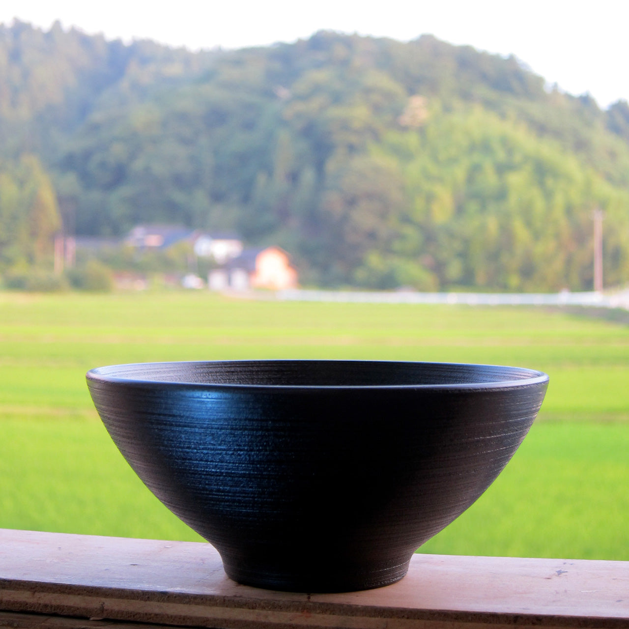 Sen-suji Bowl : Striated lacquerware Bowl - Wajima Kirimoto -