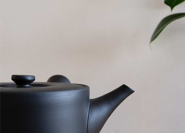 Tokoname-yaki teapot | IROIRO 02/03 - JINSUI -