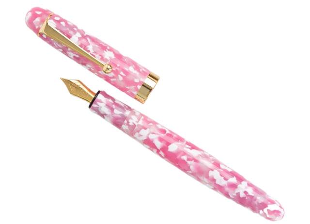 Acetate fountain pen - Oonishi Seisakusho -