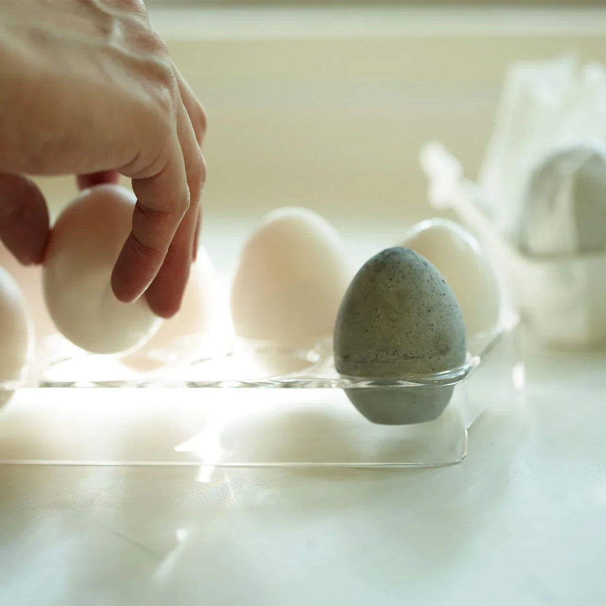 Placing a soil drying egg in the fridge egg tray